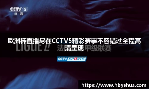vsport体育
